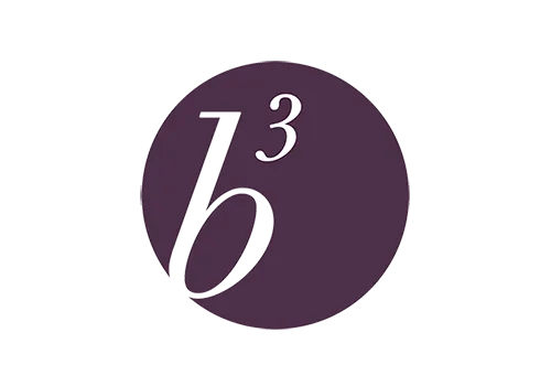 b3-logo b3 logo